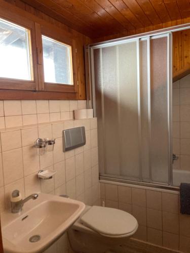 a bathroom with a toilet and a sink and a shower at B&B Chalet Rey-Bellet in Les Crosets