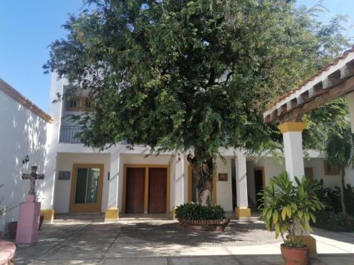 a building with a tree in front of it at CASA BERTHA 