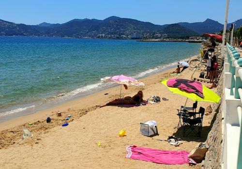 Garden and beach sea view apartment Cannes photo 22