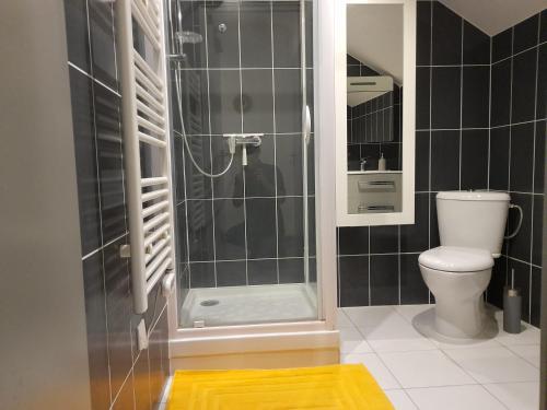 La salle de bains est pourvue de toilettes et d'une douche en verre. dans l'établissement L'Orée du Marais - Paisible maison centre-ville, à Bourges