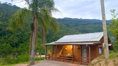 a small wooden cabin with a palm tree next to it at Cabana Amor Perfeito in Alfredo Wagner