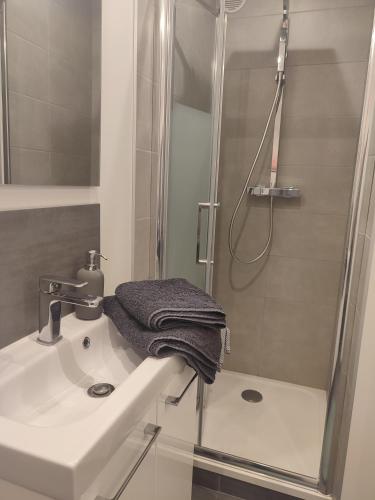 une salle de bain avec un lavabo et une douche dans l'établissement Le Champêtre, à Nancy