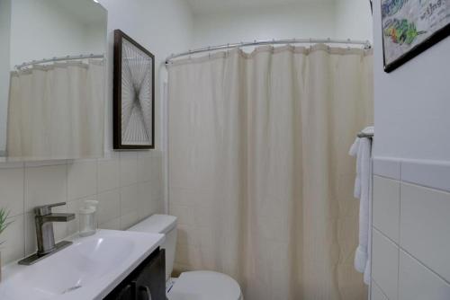 een badkamer met een douchegordijn, een toilet en een wastafel bij Walk to Overton Square from your Historic Retreat in Memphis