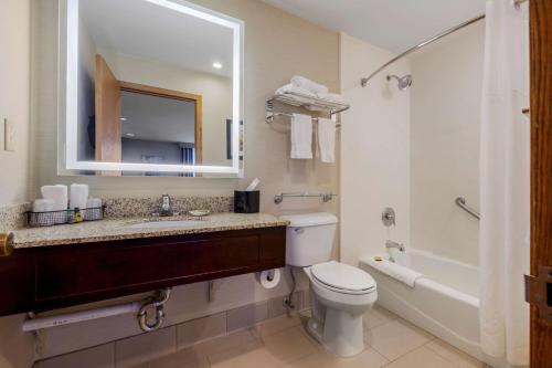 a bathroom with a toilet and a sink and a tub at Best Western Plus Dubuque Hotel and Conference Center in Dubuque