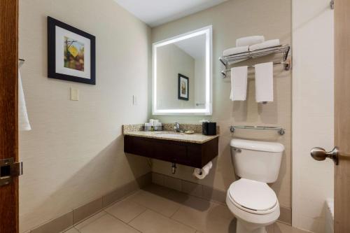 a bathroom with a toilet and a sink and a mirror at Best Western Plus Dubuque Hotel and Conference Center in Dubuque