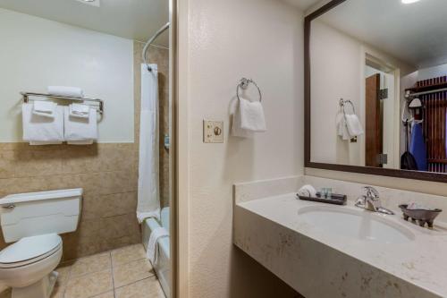 a bathroom with a sink and a toilet and a mirror at Best Western Red Hills in Kanab