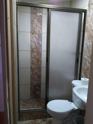 a bathroom with a shower and a toilet and a sink at Habitación las Condes Familiar in Santiago