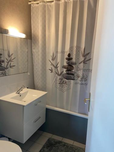 La salle de bains est pourvue d'un lavabo et d'un rideau de douche. dans l'établissement Grand Studio Lumineux Caen Memorial, à Caen
