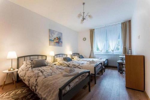 a bedroom with two beds and a desk and a window at Holiday house with a parking space Daruvar, Bjelovarska - 17937 in Daruvar
