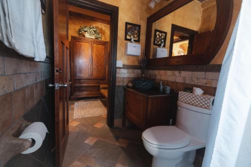 a bathroom with a toilet and a mirror at Viña Calabria in Valle de Guadalupe