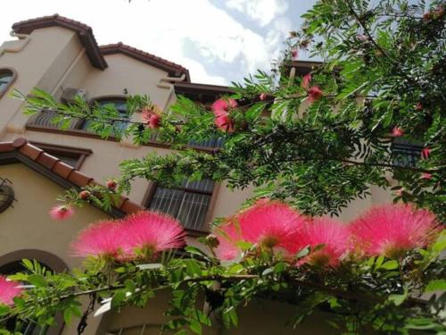 セメニーにあるSemenyih Escapar Villa by Danのピンクの花の木の建物