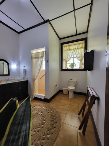 Camera dotata di bagno con servizi igienici e lavandino. di Casa del Cafe-Familiar a Heredia