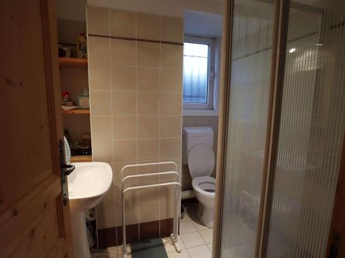 a bathroom with a toilet and a sink and a shower at Chalet pour 14 personnes avec terrasse au cœur d'Arêches-Beaufort - FR-1-342-294 in Beaufort