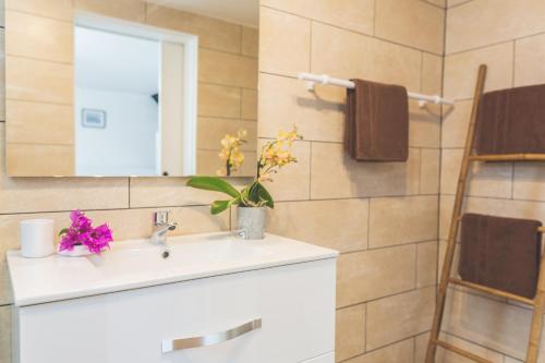 a bathroom with a sink and a mirror at Ilet du Lagon in La Saline les Bains