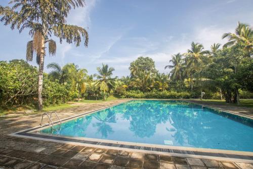 a swimming pool in a resort with palm trees at The Coastal Village Cabanas in Galle