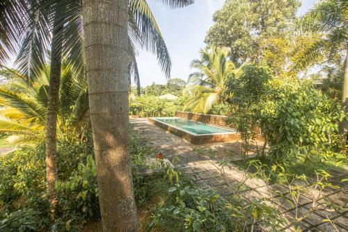 Taman di luar The Coastal Village Cabanas