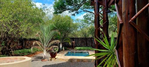 a garden with a swimming pool and some plants at The Cheetah Rest in Hoedspruit
