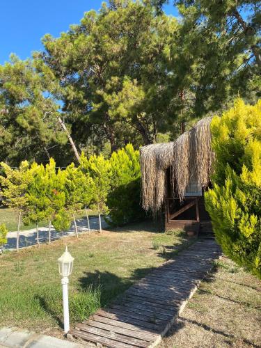 Gallery image of Green Pine Bungalows & Beach Luxury Concept in Oludeniz