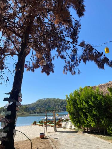 Gallery image of Green Pine Bungalows & Beach Luxury Concept in Oludeniz