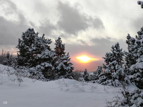 a sunset in a snowy forest with snow covered trees at Appartement type chalet montagne avec SPA à 1750m in Égat