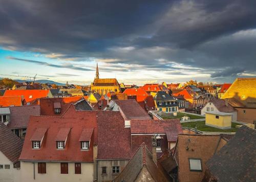 a view of a city with orange roofs at Aux Toits d'Alsace in Sélestat