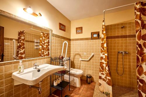 a bathroom with a sink and a toilet and a shower at Apartamentos La Plaza in Majaelrayo
