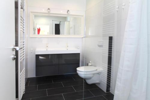 ブラウンラーゲにあるgroßes SchützenChaletのバスルーム(トイレ、洗面台、鏡付)