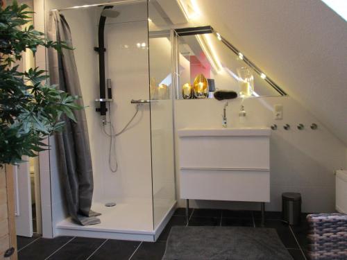 La salle de bains est pourvue d'une douche et d'un lavabo. dans l'établissement Chalet Platzhirsch, à Braunlage