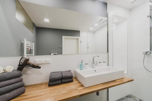 een badkamer met een witte wastafel en een spiegel bij HarzLodge Emma in Braunlage