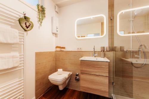 a bathroom with a toilet and a sink and a mirror at Hyggeglück Braunlage in Braunlage