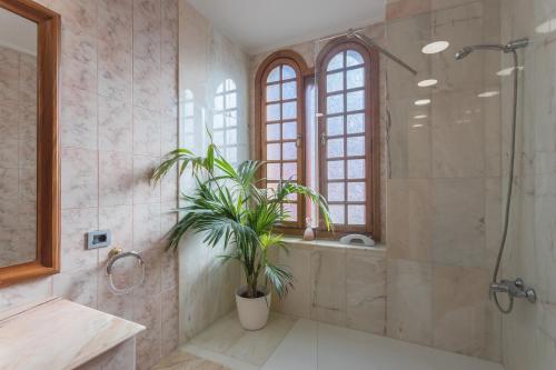 a bathroom with a shower and a potted plant at The Yellow House - Solarium - Climatized Pool in Gáldar