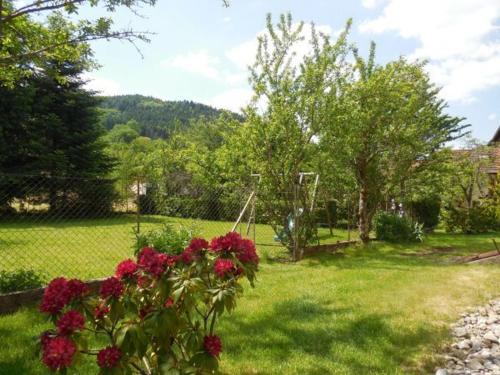 a garden with red flowers in the grass at Maison de caractère avec jardin, terrasse et équipements pour grandes familles au Val-d'Ajol - FR-1-589-169 in Le Val-dʼAjol