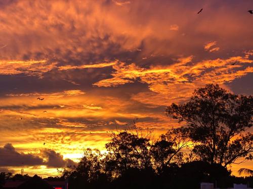 a sunset with trees and clouds in the sky at Hammock Beach Home in Alleppey