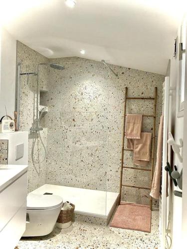 une salle de bain avec une douche, des toilettes et un lavabo dans l'établissement Bienvenue à la Galerie des Sablons, à Saint-Malo