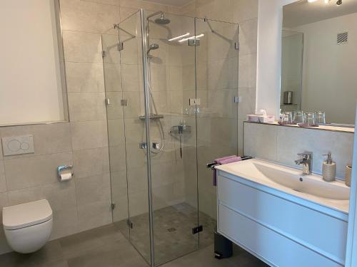 a bathroom with a shower and a sink and a toilet at Ostwall Terrassen Apartment 5.33 in Bocholt