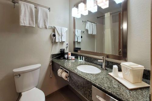 a bathroom with a toilet and a sink and a mirror at Quality Inn & Suites Marion in Marion