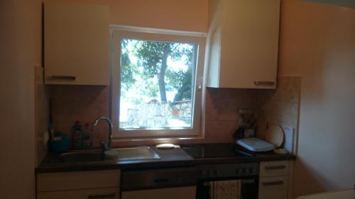 Η κουζίνα ή μικρή κουζίνα στο Apartments Dunja Hvar