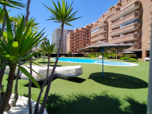 a swimming pool with an umbrella and palm trees at ACV - Vistamar II-1ª Linea Planta 9 Sur in Oropesa del Mar