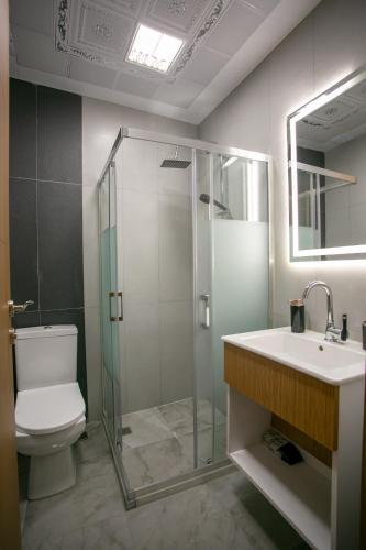 a bathroom with a shower and a toilet and a sink at Blau Grün Istanbul Otel in Istanbul