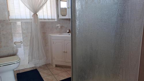 a bathroom with a shower with a toilet and a sink at Villa @ 19 Palm with spectacular sea views in Jeffreys Bay