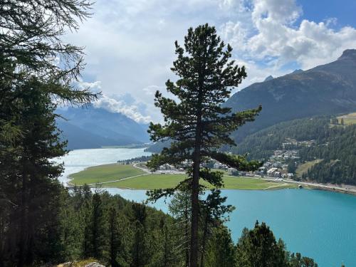 a view of a lake in the mountains at Chesa Munteratsch 1 1 2-Zimmerwohnung 409 Typ C in Silvaplana
