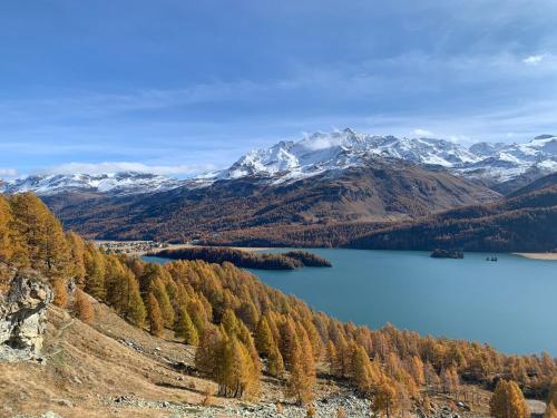 a view of a lake with snow capped mountains at Chesa Munteratsch 1 1 2-Zimmerwohnung 209 Typ D in Silvaplana