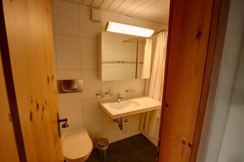 Koupelna v ubytování Chesa Munteratsch 3 1 2-Zimmerwohnung 508 Typ H