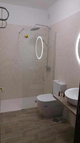 a bathroom with a shower and a toilet and a sink at Chijere San Sebastián in San Sebastián de la Gomera