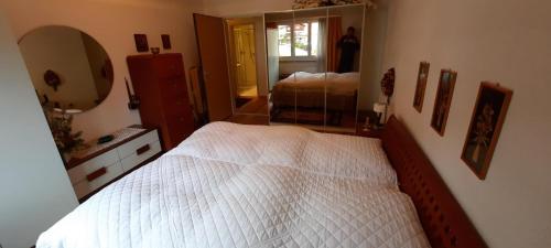 Postel nebo postele na pokoji v ubytování Ferienwohnung nähe Madrisa