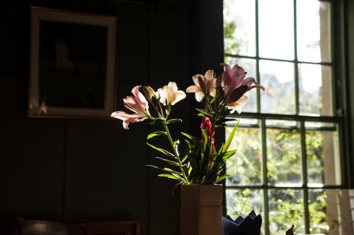 un jarrón con flores rosas delante de una ventana en The Historical Harcourt Suites, en Dublín