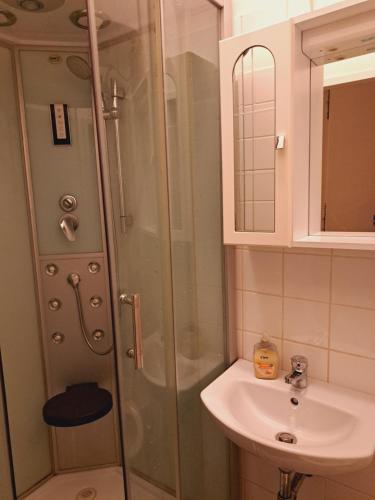 een badkamer met douche en wastafel bij Relax Appartement 10 minutes to downtown in Wenen