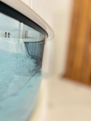 Fotografie z fotogalerie ubytování Villarit Porto v destinaci Gondomar