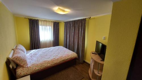a small bedroom with a bed and a television at Casa de vacanta La Ticu in Cîndeşti