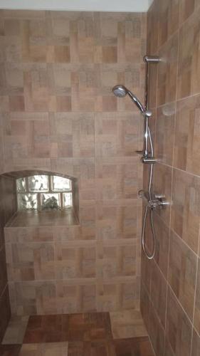 a shower with a shower head in a bathroom at Bezbariérové ubytování na statku in Kájov